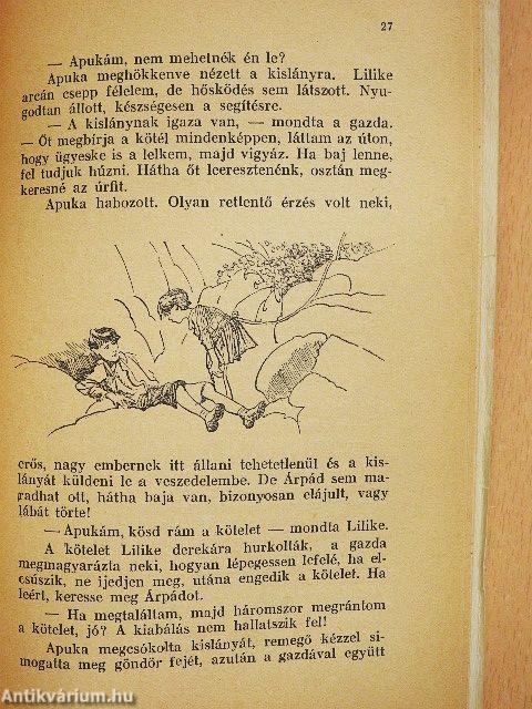 Egy lugas története