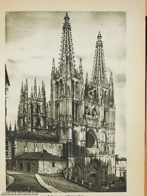 A szépművészetek könyve