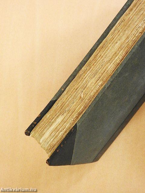 Saint Ignace de Loyola