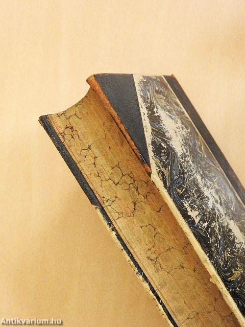 Homiletische und katechetische Studien