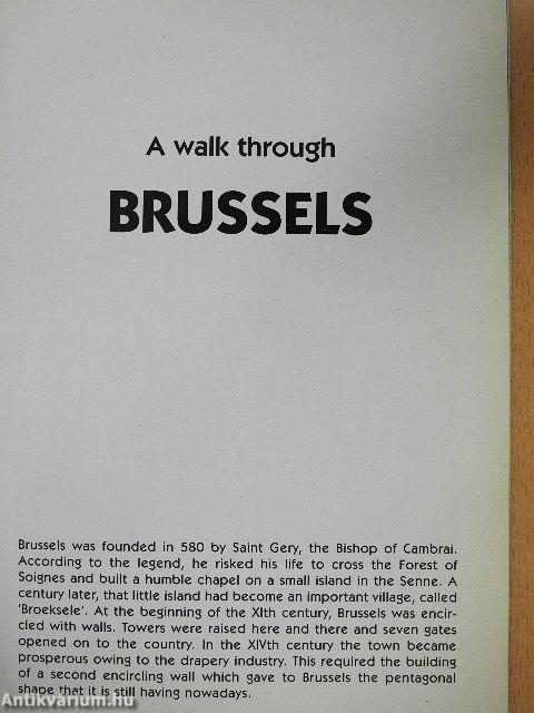 A walk through Brussels