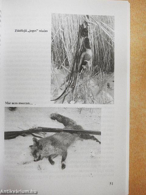 Magaslesek holdfényben