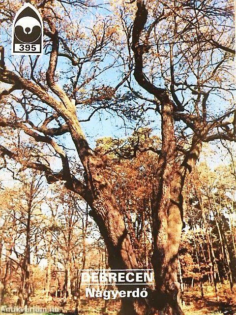 Debrecen - Nagyerdő