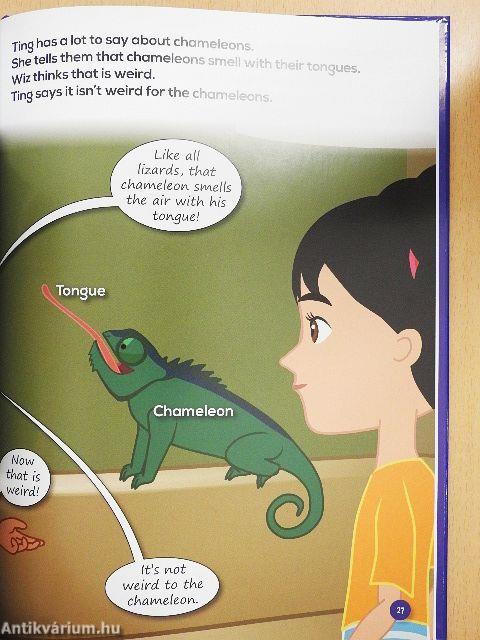 Pets and play - DVD-lemezzel