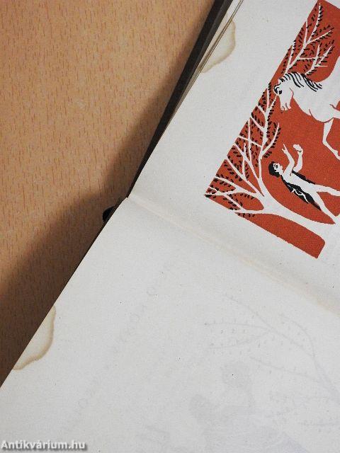 Thészeusz ifjúsága