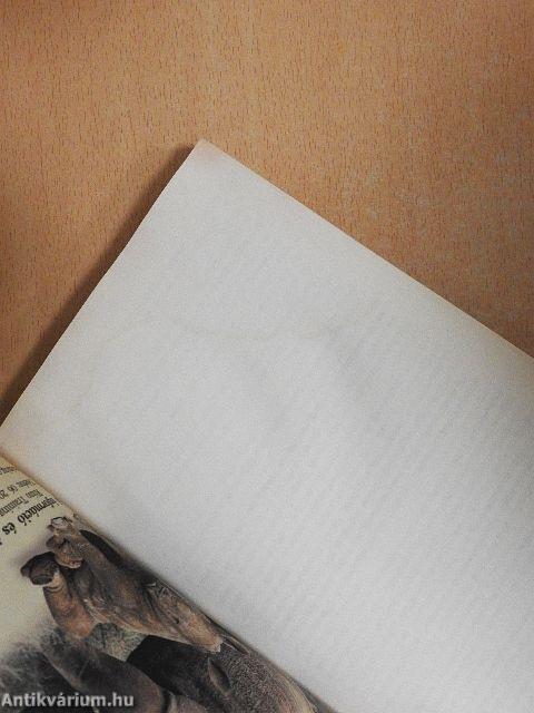 Mikor leszel milliomos? I.