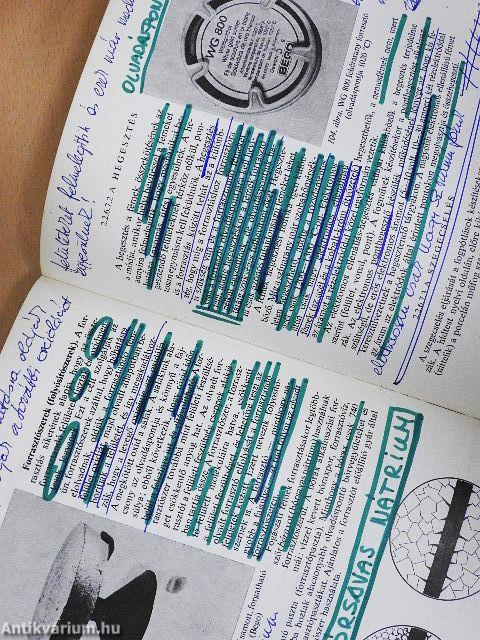 Bevezetés a fogpótlástanba