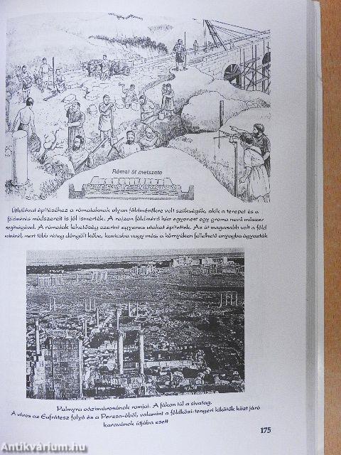 Linguam Latinam disco II.