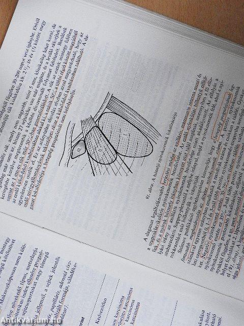 A daganatok sebészete