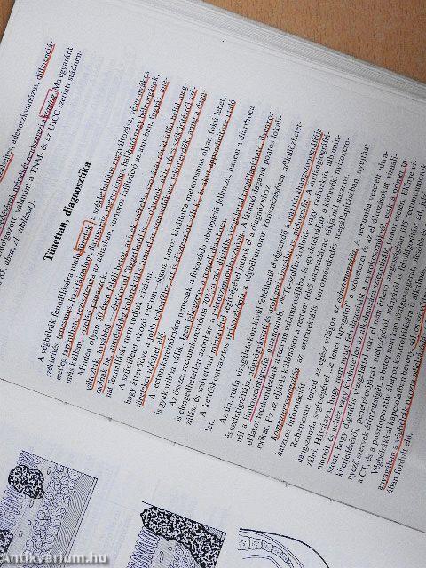 A daganatok sebészete