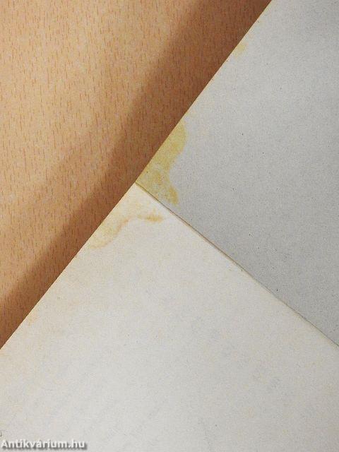 Hiúságok máglyája 