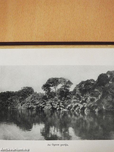 Orvos az őserdőben