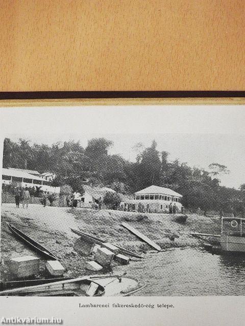 Orvos az őserdőben