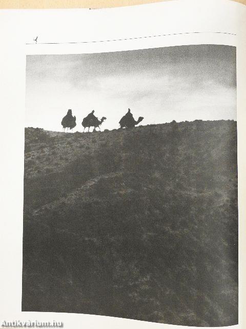 Monty Python's The Life of Brian (of Nazareth) - Monty Python Scrapbook