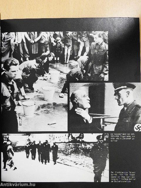 1938-1988