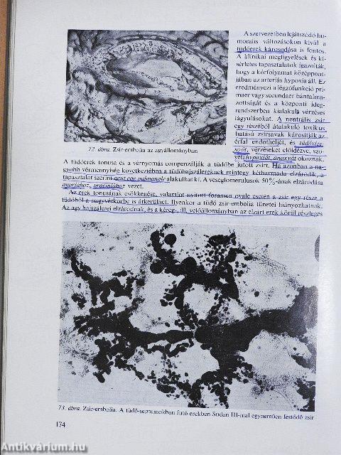 Az igazságügyi orvostan alapjai