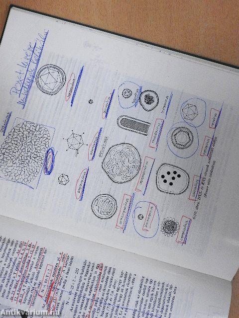 Mikrobiológia