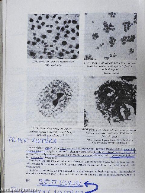 Mikrobiológia