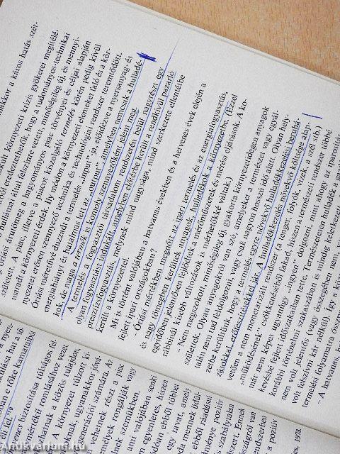 Gazdasági útkeresés - Környezetvédelmi stratégiák