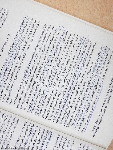 Gazdasági útkeresés - Környezetvédelmi stratégiák