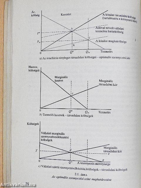 Gazdasági útkeresés - Környezetvédelmi stratégiák