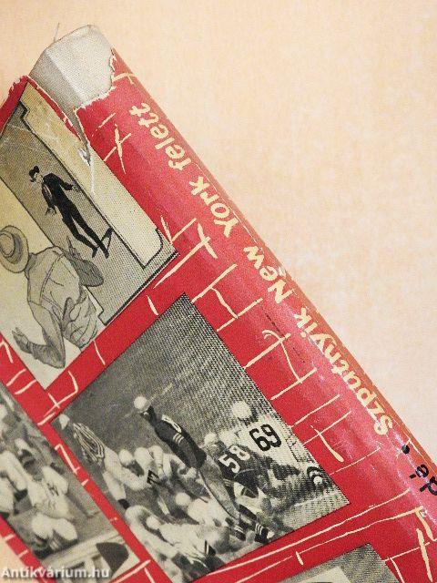 Szputnyik New York felett