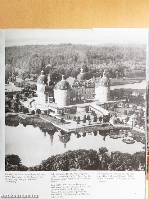 Dresden