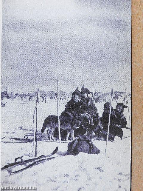 Rénszarvasok nyomában