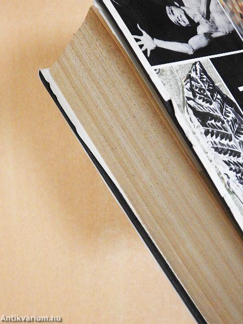 Ifjúsági kislexikon