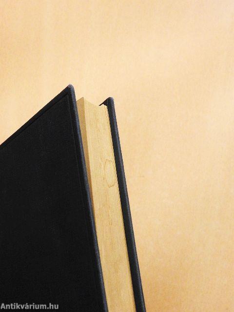 Beszélgetés a ferdetoronnyal