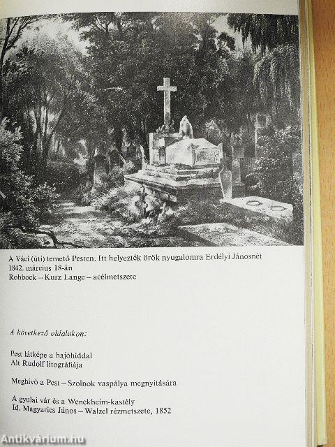 Úti levelek, naplók