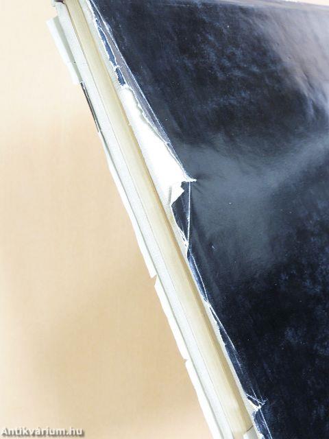 Ikonok a Plovdiv régióból (bolgár nyelvű)