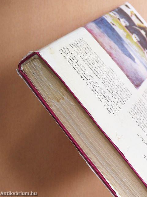 Szülőhazám, "Hortobágy mellyéke"