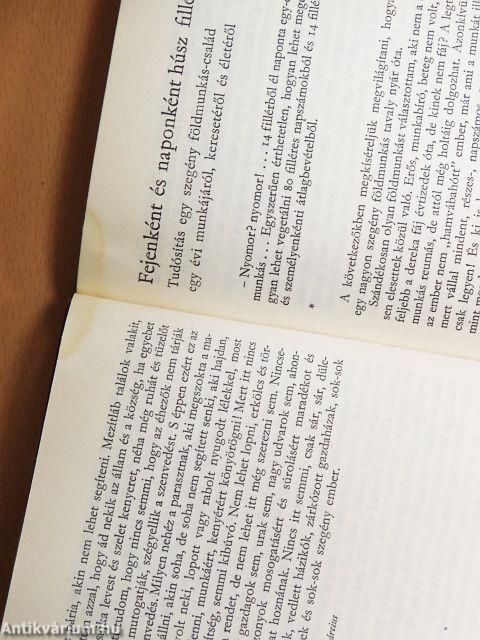 Szülőhazám, "Hortobágy mellyéke"