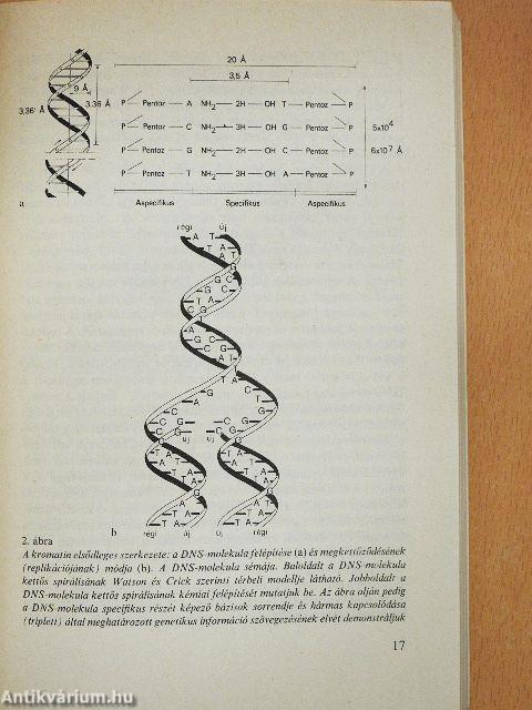 Az érték bennünk van