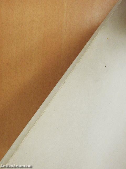 "Gyöngyvirágtól lombhullásig"/Gondolatok az első magyar szabad képviselőválasztások elméletéről és gyakorlatáról/Függelék