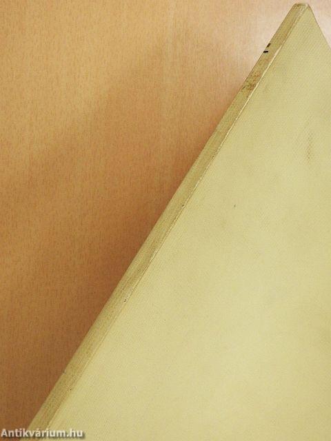 A százesztendős forditóiroda