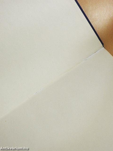 Az ifjúság művelődésének lehetőségei, feladatai a szakmunkássá válástól a családalapításig, Szeged városi tapasztalatok alapján