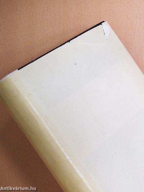 A párizsi Notre Dame