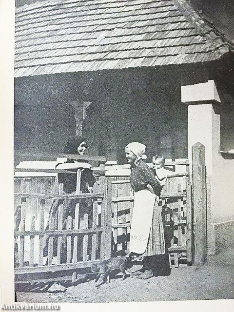 A fényképezés gyakorlata