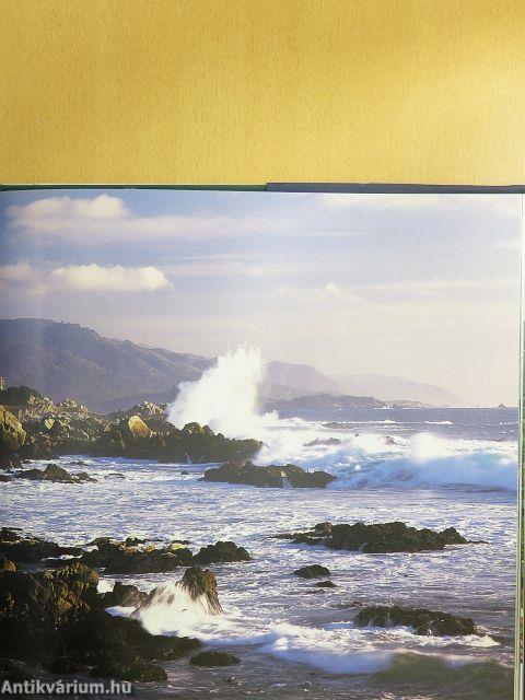 Big Sur to Big Basin