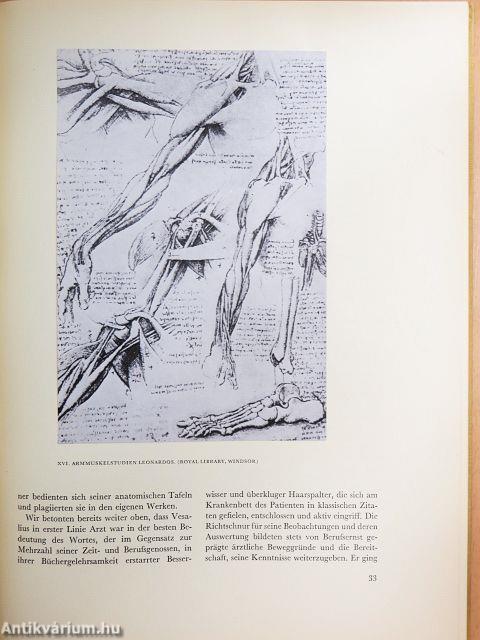 De humani corporis fabrica