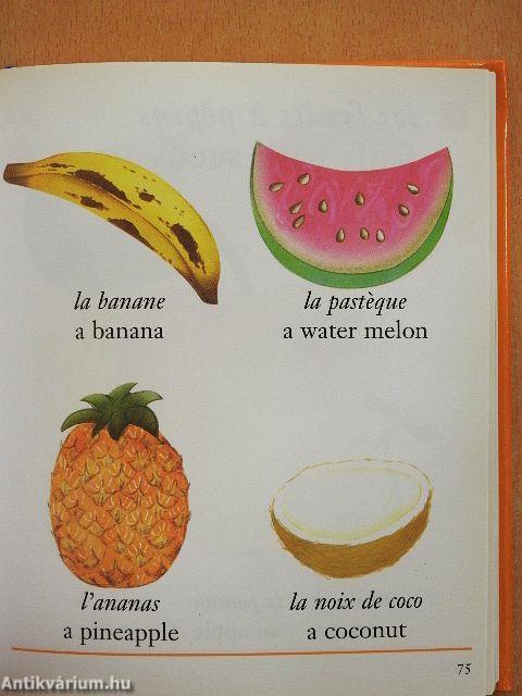 Mon gros imagier - francais-anglais