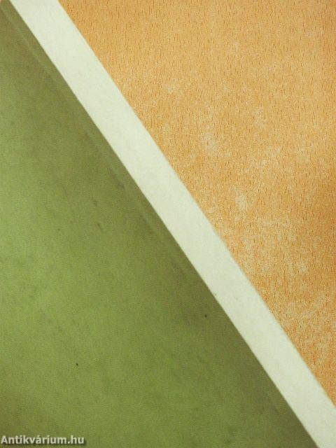 The AnaChronist 1996