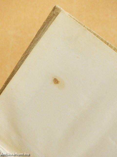 Őserdő/Vész és kaland