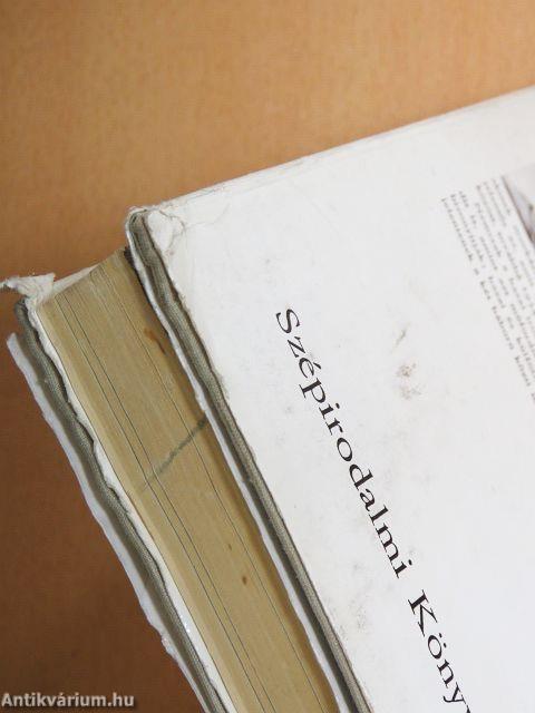 A piros ruhás nő/Mossóczy Pál szép nyara