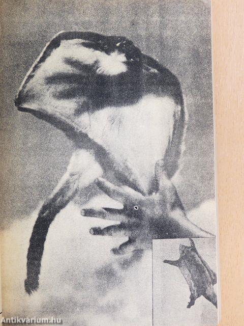 Az Élet és Tudomány Kalendáriuma 1984