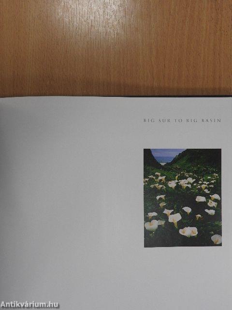Big Sur to Big Basin