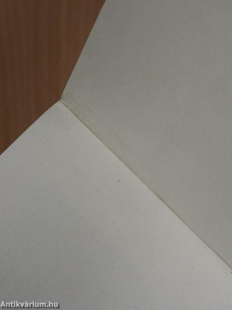 "Gyöngyvirágtól lombhullásig"/Gondolatok az első magyar szabad képviselőválasztások elméletéről és gyakorlatáról/Függelék