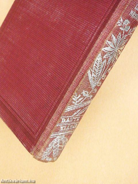 Julcsa kutja/Leánynézőben